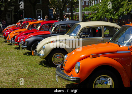 Volkswagen Marmelade auf Governors island Stockfoto