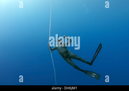 Freediver, Ägäis, Insel Symi, Griechenland Stockfoto