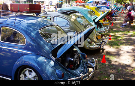 Volkswagen Marmelade auf Governors island Stockfoto