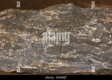 Streifen zeigen "Objektive" von Pyrit, ein Merkmal der Meta Rhyolith in diesem nicht verwitterten BIF Rock Probe - Details siehe unten. Stockfoto