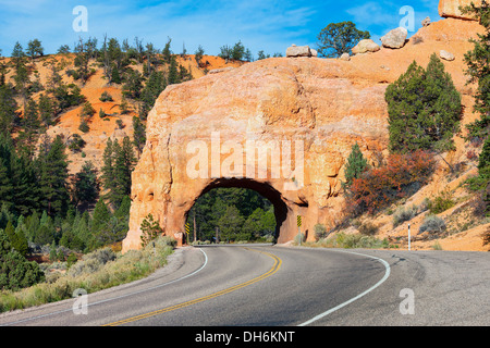 Roten Bogen Straßentunnel auf dem Weg zum Bryce Canyon Stockfoto