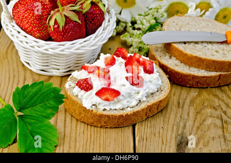 Stück Brot mit Quark, Sahne, Erdbeeren, ein Korb mit Beeren, Blätter, Blume Gänseblümchen auf Holzbrettern Stockfoto