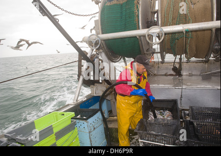 Fischer auf eine Heck Trawler Rincing Fische in einem Korb Stockfoto