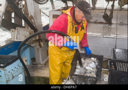 Fischer auf eine Heck Trawler Rincing Fische in einem Korb Stockfoto