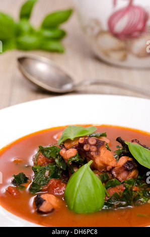 Geschmorte Tintenfische in Tomatensauce mit grünen Basilikum Stockfoto