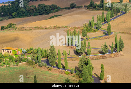 Kurvenreiche Straße in der Nähe von Monticchiello mit den berühmten Zypressen im Herzen der Toskana, Italien Stockfoto