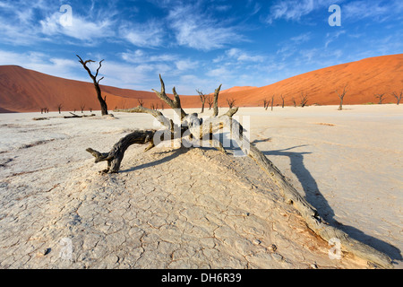 Blick auf Toten Tal in der Namib Wüste, Sossusvlei, Namibia Stockfoto