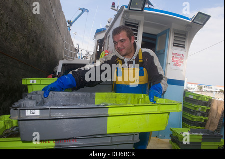 Am Hafen Dock ist ein Fischer Kisten gefüllt mit Fischen pilling. Stockfoto