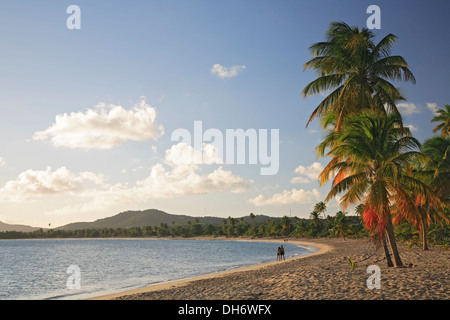 Palmen und paar zu Fuß am Strand, Sombe (Sun Bay), Vieques, Puerto Rico Stockfoto