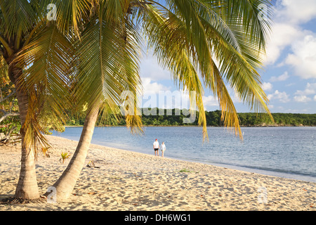 Palmen und paar zu Fuß am Strand, Sombe (Sun Bay), Vieques, Puerto Rico Stockfoto