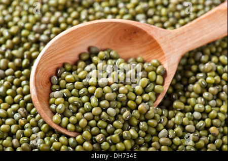 Nahaufnahme des hölzernen Löffel voll von Mungobohnen Stockfoto