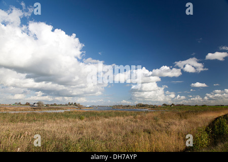 Vorland des niederländischen Fluss Lek, Nieuw-Lekkerland, Südholland, Niederlande Stockfoto