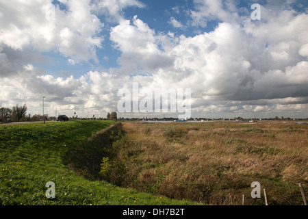 Vorland des niederländischen Fluss Lek, Nieuw-Lekkerland, Südholland, Niederlande Stockfoto