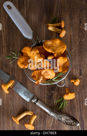 Pfifferlinge in Sieb, hölzernen Hintergrund Stockfoto