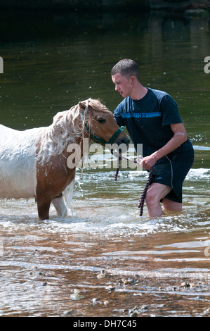 Reisende, die ihre Pferde bei der jährlichen Appleby anzeigen Pferd Messe, Cumbria, UK Stockfoto