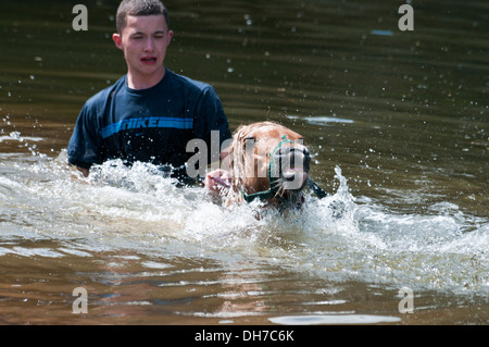 Reisende, die ihre Pferde bei der jährlichen Appleby anzeigen Pferd Messe, Cumbria, UK Stockfoto