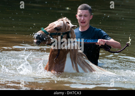 Reisende, die ihre Pferde bei der jährlichen Appleby anzeigen Pferd Messe, Cumbria, UK Stockfoto