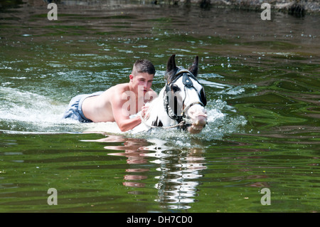 Reisende, die ihre Pferde bei der jährlichen Appleby anzeigen Pferd Messe, Cumbria, UK Stockfoto