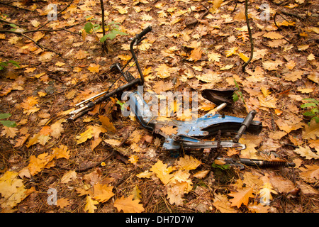 Herbst im Wald, Herbst für einen rostigen Moped. Stockfoto
