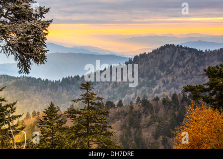 Herbstmorgen in der Smoky Mountains National Park. Stockfoto