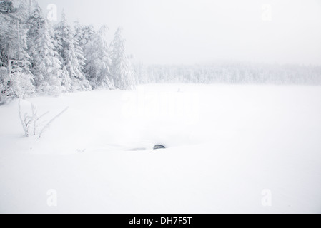 Franconia Notch State Park-Lonesome Lake in den Wintermonaten in den White Mountains, New Hampshire USA im Whiteout Bedingungen Stockfoto