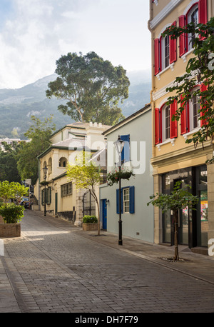 STRAßENSZENE MIT EUKALYPTUS-BAUM-GIBRALTAR Stockfoto