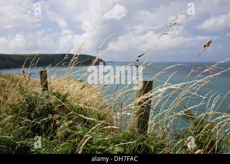 Holzzaun Beiträge auf einer Klippe mit Blick auf das Meer. Stockfoto