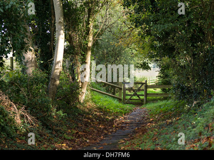 Dorf Lacock in Wiltshire England UK Herbst Lane und Pfad Dorf Lacock in Wiltshire England UK Herbst Lane und Pfad