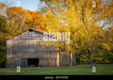 Alte Tabak-Bauernhof entlang der Natchez Trace, Tennessee, USA Stockfoto