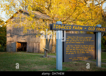 Alte Tabak-Bauernhof entlang der Natchez Trace, Tennessee, USA Stockfoto