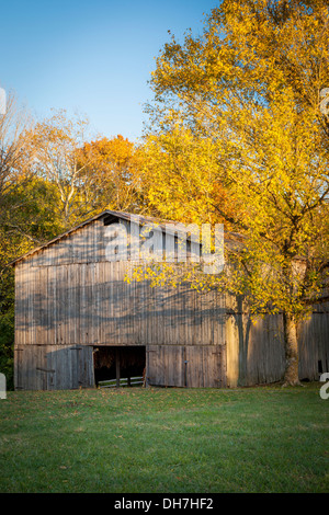 Alte Tabak-Bauernhof entlang der Natchez Trace, Tennessee, USA Stockfoto