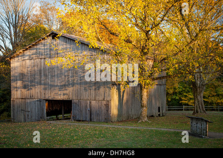 Alte Tabak-Bauernhof entlang der Natchez Trace, Tennessee, USA Stockfoto