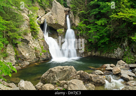 Bash Bish fällt in einen grünen Pool - ein beliebtes Sommer-Swimming-Loch in den Berkshires, Stockfoto