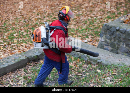 Reinigung von Laub im Park mit Laubbläser, Tschechische Republik Stockfoto