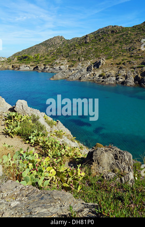 Bucht mit klarem Wasser im Mittelmeer, Tamariu, Puerto De La Selva, Costa Brava, Katalonien, Spanien Stockfoto