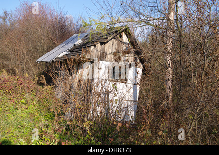 alten verfallenen Hütte Stockfoto