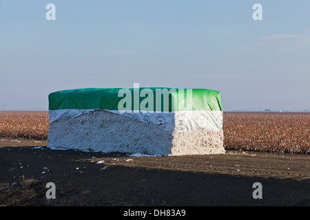Baumwolle-Modul - Kalifornien USA Stockfoto