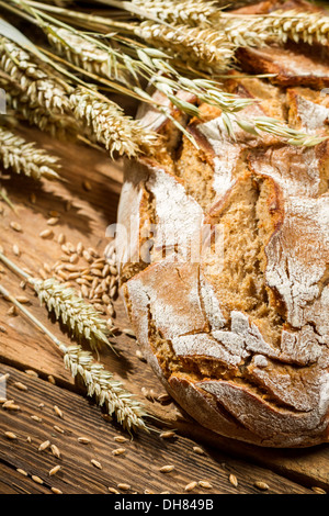 Frisch gebackenes Brot Stockfoto