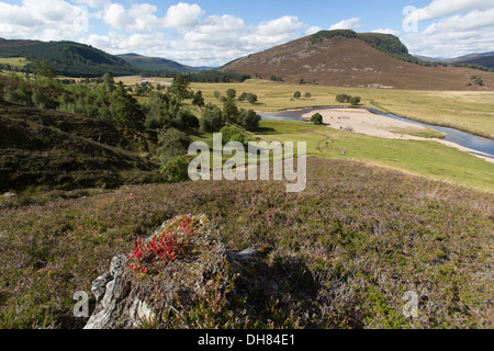 Bereich von Braemar, Schottland. Malerische Aussicht auf den Fluss Dee und Mar Lodge Estate. Stockfoto