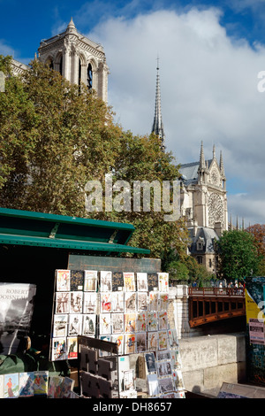 Eine Straße Verkäufer vor der Kathedrale Notre Dame Stockfoto