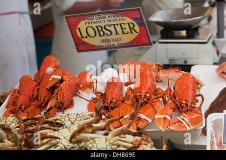 Hummer, gekocht und bereit zum Essen. Auf den Verkauf in Beresford Fischmarkt, Jersey, Kanalinseln. England, UK. Stockfoto