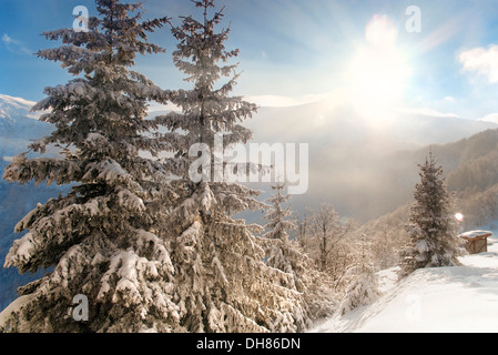 Schönen guten Morgenlicht über die Mountain Ridge und immergrüne Bäume mit Schnee bedeckt Stockfoto