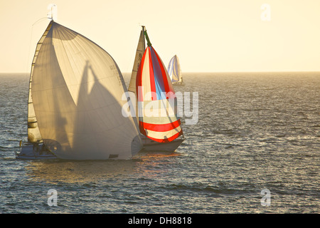 Yachten unter vollen Segeln, zurück zu King Harbor, Los Angeles, Kalifornien, in der Dämmerung. Stockfoto