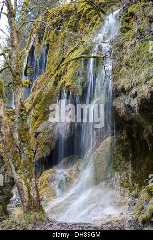 Schleierfaelle oder Schleier fällt, Fluss Ammer, Ammertal, Bad Bayersoien, Bayern, Deutschland Stockfoto