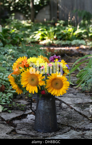 Sonnenblume, Helianthus Annuus. Ein Blumenstrauss in einer antiken Metall kann im Garten. Stockfoto