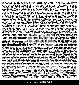 Tierischen Silhouetten 2 Stockfoto