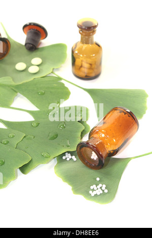 Ginkgo Blätter mit Kügelchen auf hellem Hintergrund Stockfoto