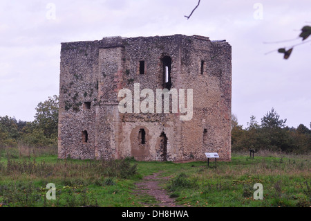 Thetford Warren Lodge Thetford Norfolk Stockfoto