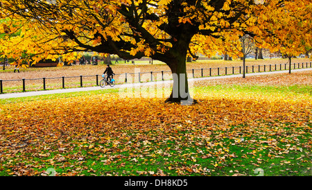 Bunten Baum im Herbst in London Hyde Park mit einem Mann, mit dem Fahrrad in den Hintergrund Stockfoto