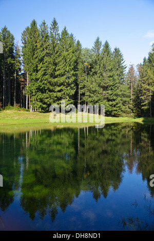 Van Der Smissen Memorial Park ist abgebildet in Berkshire County "Mount Everett State Reservation, Massachusetts Stockfoto